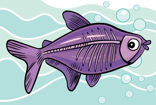 cartoon illustration of x-ray fish