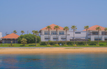 晴天の中のビーチの写真。ヤシの木、砂浜、海とまるで南国を思わすかのような風景