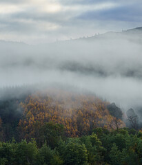 a foggy morning in autumn