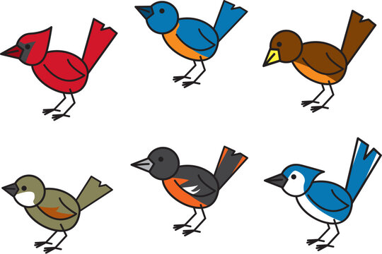 Six common and popular birds found throughout north american residential areas.