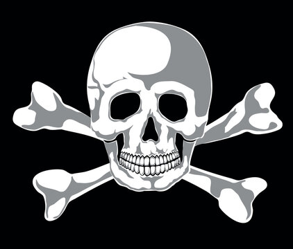 Skull and two bones on black. Vector. Separate layers