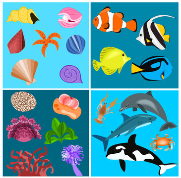 Illustration of different kind of sea animals and plants
