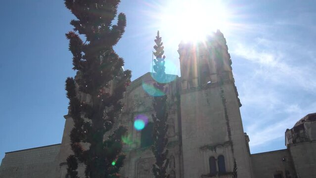 City Cathedral of Oaxaca Mexico seen behind local dry vegetation in sunshine, Dolly right reveal shot