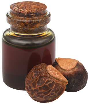 Indian soapberry with essential oil