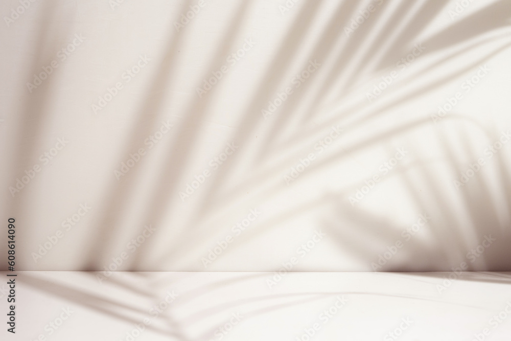 Poster palm leaf shadow overlay in minimal room. warm light room for presentation product