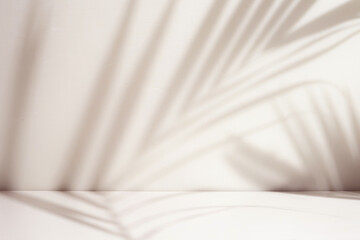 Palm leaf shadow overlay in minimal room. Warm light room for presentation product