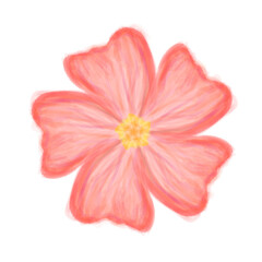 Red flower drawn by watercolor for decor your design.