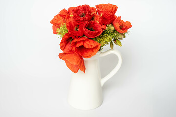 Blooming poppies in a white ceramic vase, on a white background