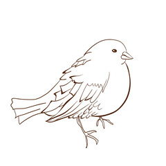 Illustration of bird