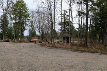 rural road through a forest