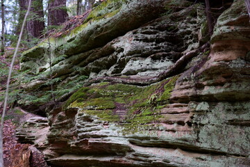 impressions from a hike through a beautiful natural forest