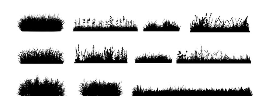 Grass field border isolated on white background. Silhouette garden grass lawn horizontal elements vector illustration