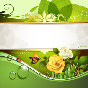 Springtime background with roses and butterfly
