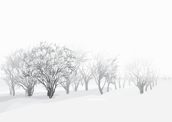 Trees on snow plain in cloudy winter day.