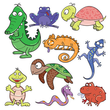 Hand-drawn cute cartoon reptiles and amphibians. Vector illustration.