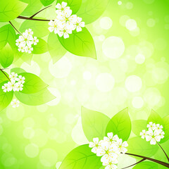 Green Background with Tree Branch Flowers and Sparkles