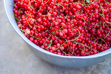 Berries of red currant. Close-up of red ripe berries. Food ingredients in summer season