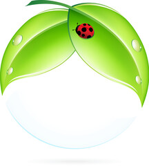 Fototapeta premium Green Leaves with Ladybird and Blue Sphere