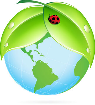 Green Earth Icon with Leaves and Ladybird