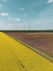 Windkraftanlagen mit Rapsfeld von oben