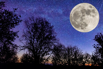 Fototapeta na wymiar Full moon. Stars. super full moon. Full moon with the background full of stars in the galaxy. Horizontal photography. The Galaxy. With silhouette of trees. Sturgeon moon. Photo. 1 August 2023.
