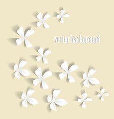 Romantic white flowers on a light background