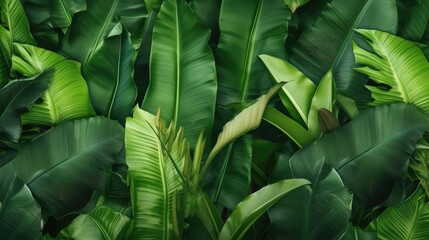 Tropical banana palm leaves texture. Exotic green background. Generative AI