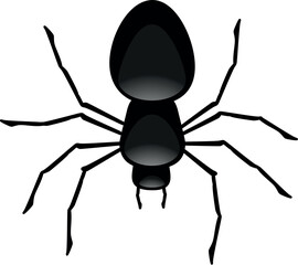 illustration of a black spider, symbol for poison and halloween