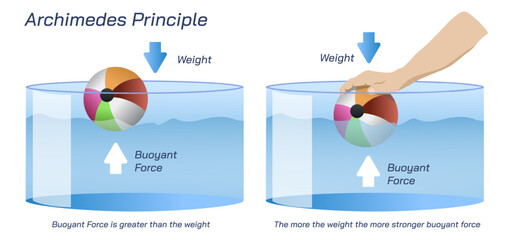 Archimedes law formula and derivation. Fluid dynamics, forces and pressures. Students study material, graphic vector illustration. Torricelli's theorem, principle,equation.Weight and buoyancy of water