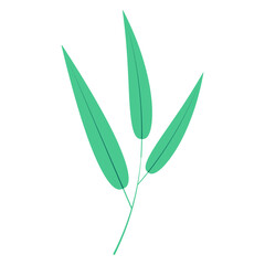 Bamboo, willow branch with leaves illustration. Hand drawn flat style vector, isolated. Plant, foliage, botanical design element, Asian flora