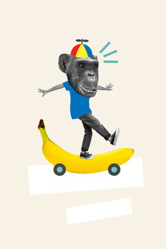 Collage graphics of funky chimp head boy riding banana board isolated painting beige color background
