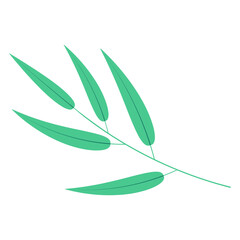 Bamboo, willow branch with leaves illustration. Hand drawn flat style vector, isolated. Plant, foliage, botanical design element, Asian flora