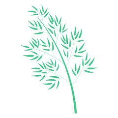 Bamboo tree illustration. Hand drawn flat style vector, isolated. Plant, foliage, botanical design element, Asian flora