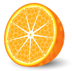 An illustration of a fresh half of orange