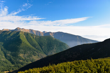 Beautiful view of the mountains with knee timber and clear blue sky on peaks in the summer. West Tatras, Slovakia.