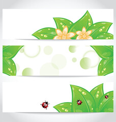 Illustration set of bio concept design eco friendly banners (2) - vector