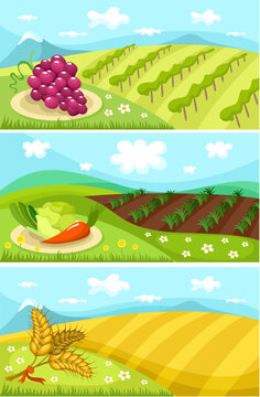 vector illustration of a cute harvest card