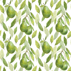 Watercolor seamless pattern with illustration of appetizing green hass avocados and leaves