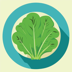 Vector illustration of fresh and juicy spinach