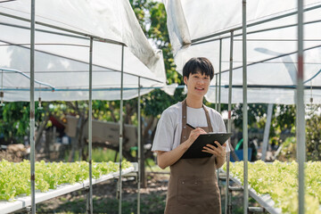 Asian male farmers grow hydroponic vegetables. Farmers farm lettuce for health. Business owner Green greenhouse cultivation. environmental entrepreneurs about healthy food