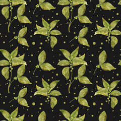 Greenery. Seamless watercolor pattern with green branches and berries. Vegetation, nature. Bright summer natural pattern on a black background