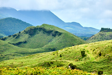 Fototapeta na wymiar Berglandschaft mit einer üppigen Vegetation 