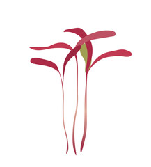 Green sprouts microgreen concept. Biology and environment, nature. Farming and agriculture, gardening. Poster or banner. Cartoon flat vector illustration isolated on white background