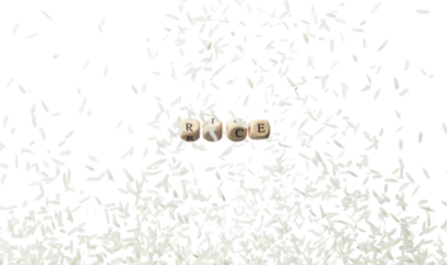 Rice alphabet letter word bead fly with completed grain seed. Raw Rice concept to refresh morning meal. Raw Rice grain seed, alphabet letter word concept. White background isolated