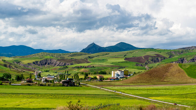 Green crops in a hilly field and mountain in the background, Iskilip, Corum, Turkey