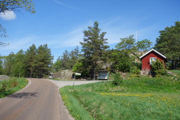 Rural landscape when spring is turning into summer