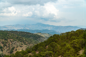 Fototapeta na wymiar View of the lush forest surrounding mount Olympus, Cyprus.