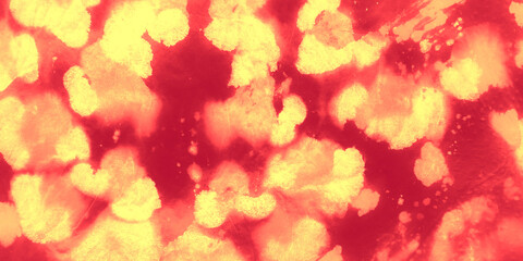 Orange Leopard Camo. Wild Leo fashion. Coral