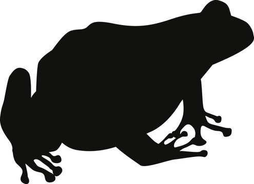 frog silhouette, amphibian, toad silhouette, guess the animal child's play, silhouette
