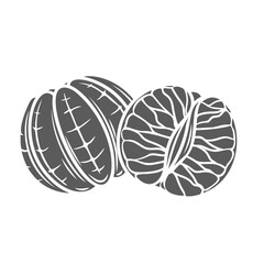 Peeled whole and half mandarin glyph icon vector illustration. Stamp of fresh tangerine, clementine or tangelo halves without peel to eat and cook summer desserts, sweet jam or mandarin juice